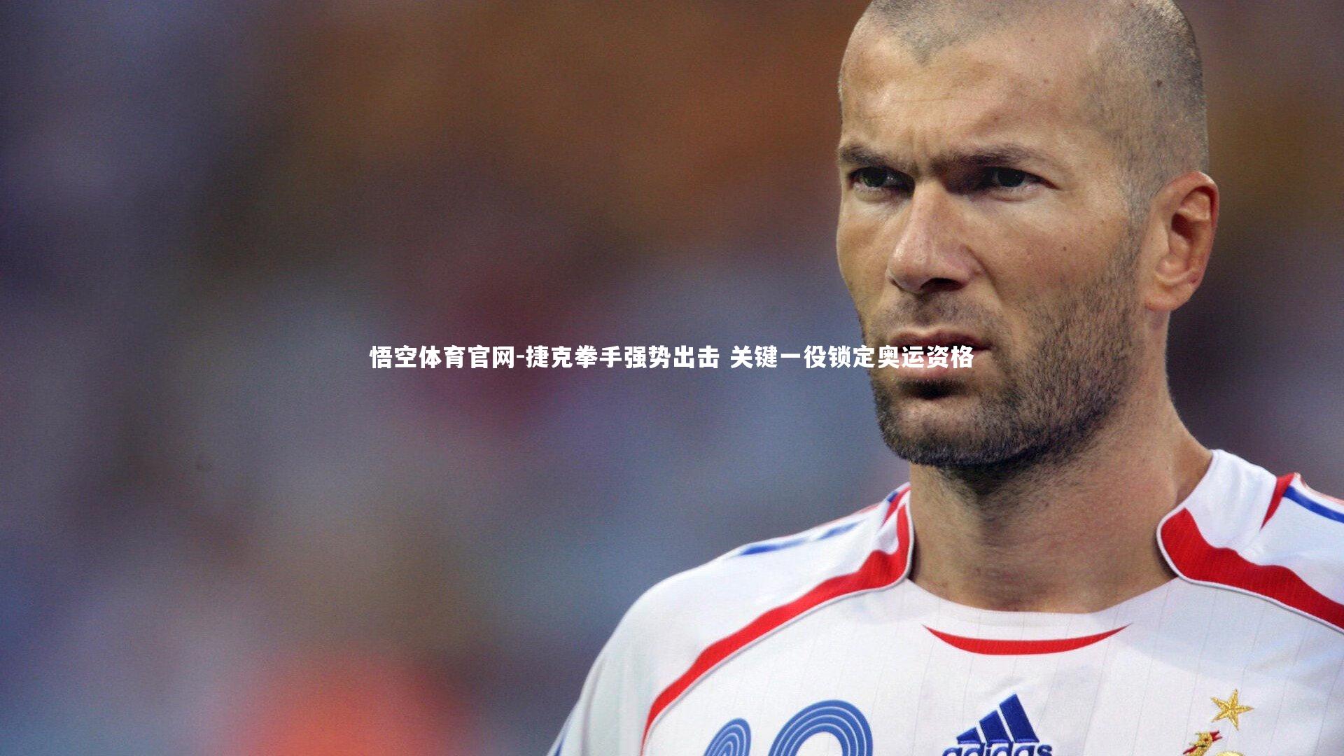 捷克拳手强势出击 关键一役锁定奥运资格