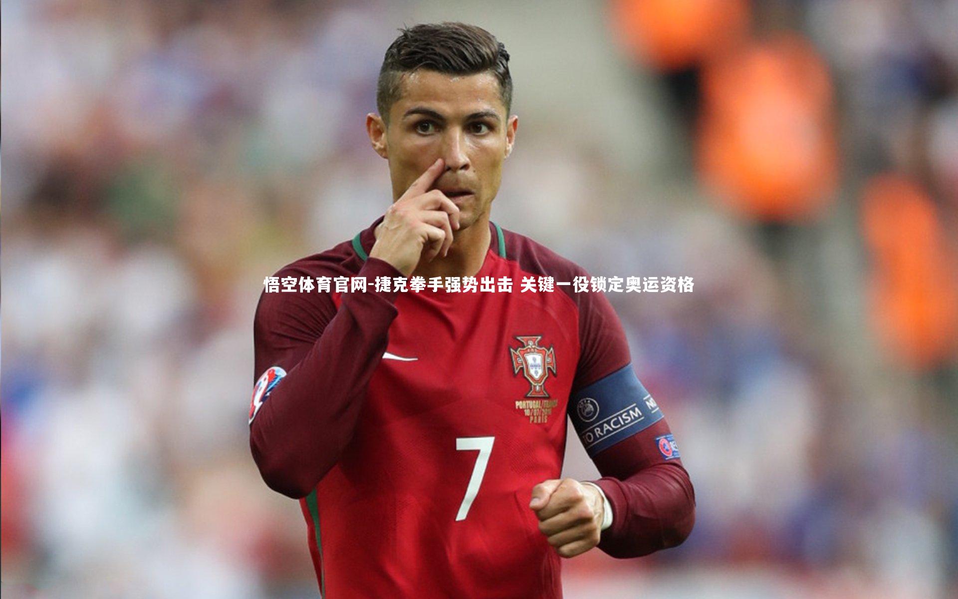 捷克拳手强势出击 关键一役锁定奥运资格