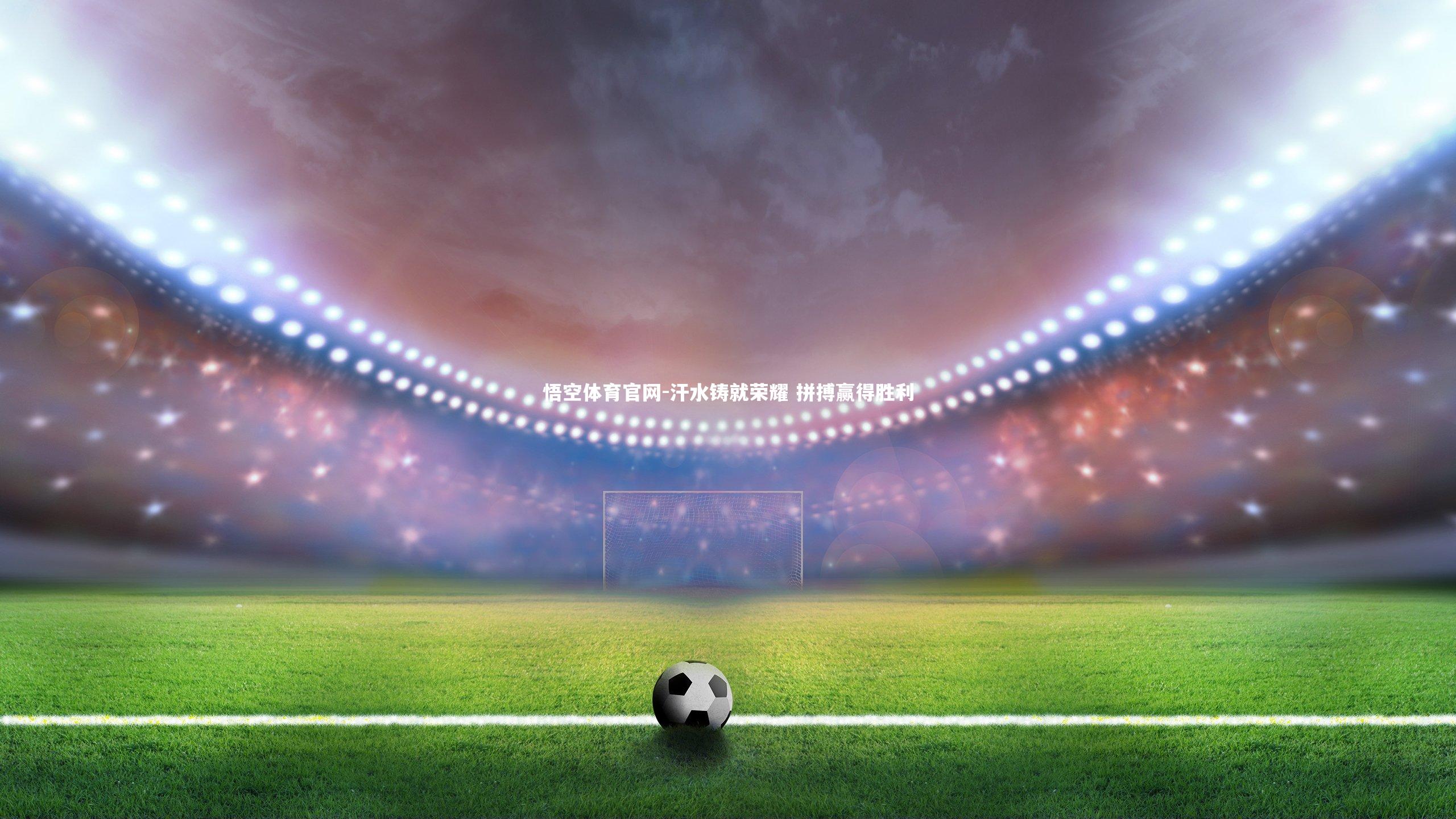 汗水铸就荣耀 拼搏赢得胜利