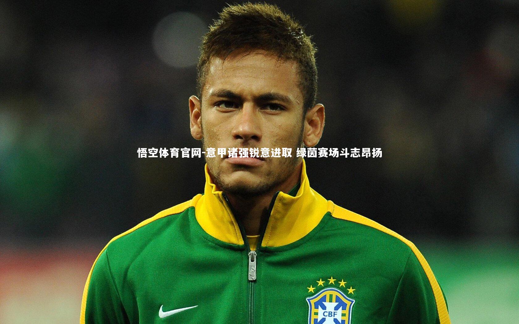 意甲诸强锐意进取 绿茵赛场斗志昂扬